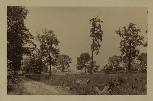 Richmond: Richmond Terrace - Tysen Street, 1927