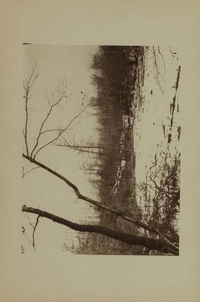 White's Pond - Staten Island, 1921