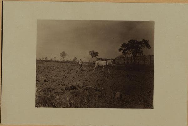 Farming in the Bronx., 1928