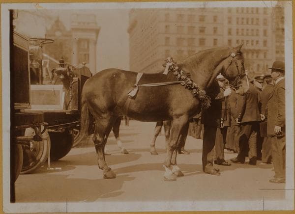 Manhattan: City Hall Park - [Fire Department ceremonies in front of City Hall on Murray Street.], 1913