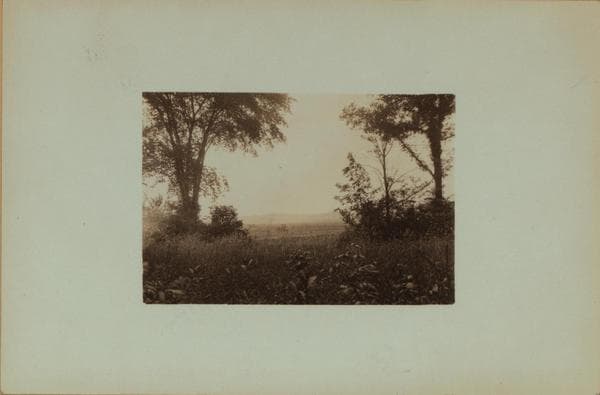 Richmond Creek - Staten Island - Latourette Park., 1924–1935