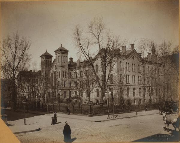 Manhattan: 5th Avenue - 54th Street (West), 1894