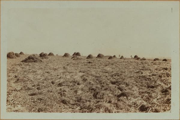 Islands - Rikers Island - Prison farm., 1931