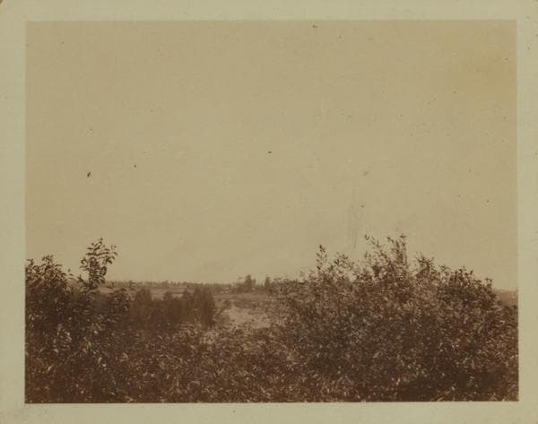 General view - Queens - Maurice Avenue - 65th Street (Northwest)., 1923