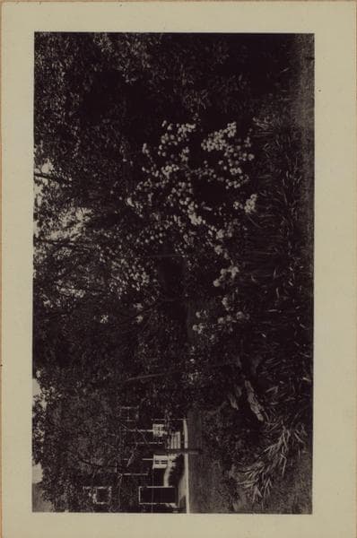 Richmond: Clinton Avenue - Henderson Avenue, 1926