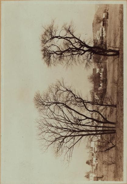 Queens: Colonial Avenue - 62nd Drive, 1924–1926