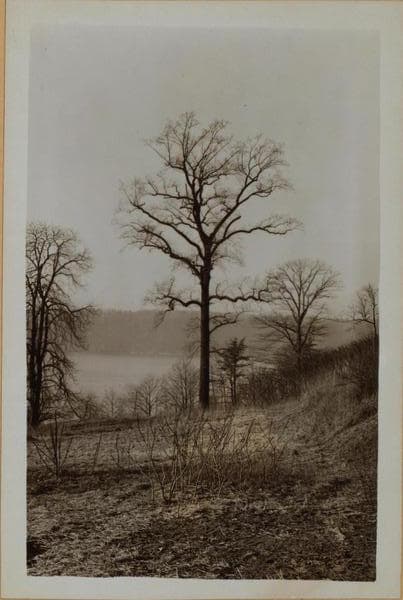 Manhattan: Inwood Hill Park., 1932