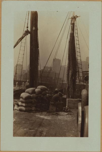Fulton fish market - [Dealers at South Street and Peck Slip.], 1923–1934