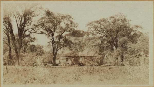 Richmond: Hylan Boulevard - Satterlee Street, 1924–1934