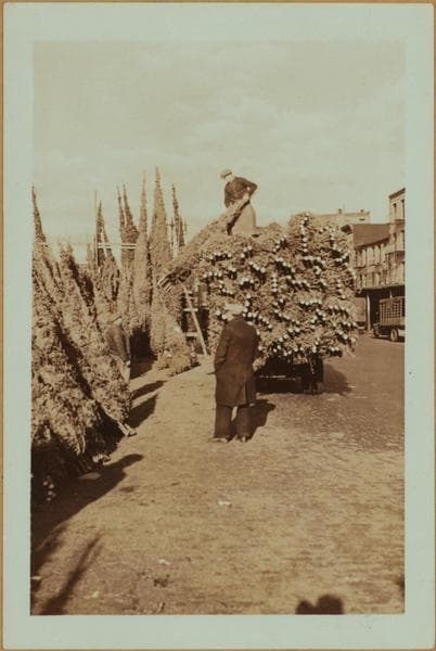 Occupations - Peddlers - Christmas trees., 1930–1935