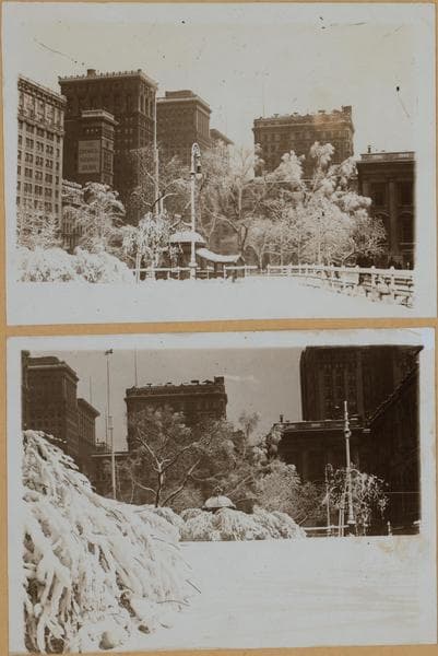 Manhattan: City Hall Park - [Municipal "garden".], 1928