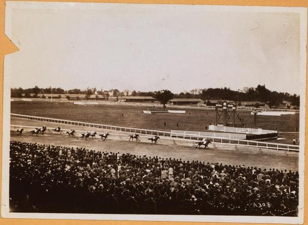Bronx: Pelham Parkway South - Sacket Avenue, 1910