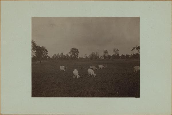 Farming on Staten Island, 1924–1926