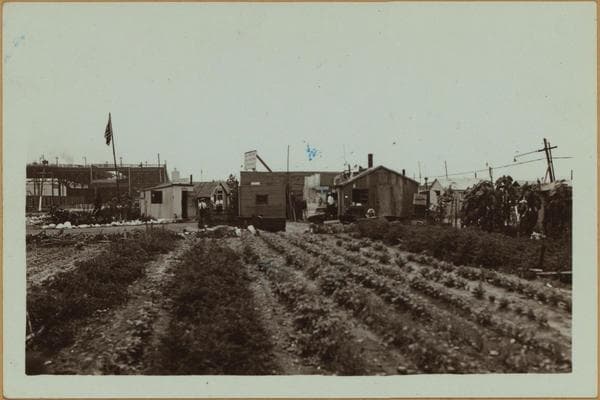 Squatters Colony - Camp Thomas Paine., 1933