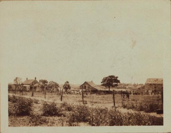 Queens: 55th Drive - 56th Street, 1922–1929
